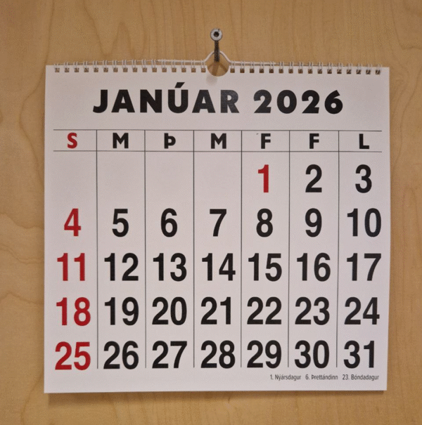 Ljósmynd af dagatali með stórum stöfum. Myndin sýnir janúarmánuð, dagatalið er í landlangsformi með skýrum og stórum texta.