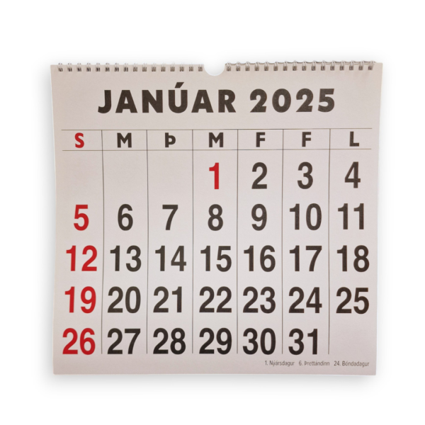 Ljósmynd af dagatali með stórum stöfum. Myndin sýnir janúarmánuð 2025, dagatalið er í landlangsformi með skýrum og stórum texta.
