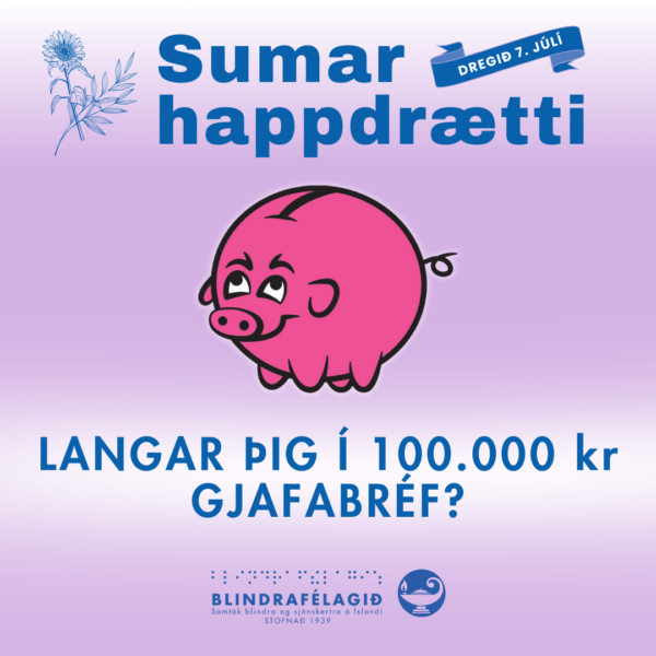 Sumarhappdrætti Blindrafélagsins 2025 - Image 11