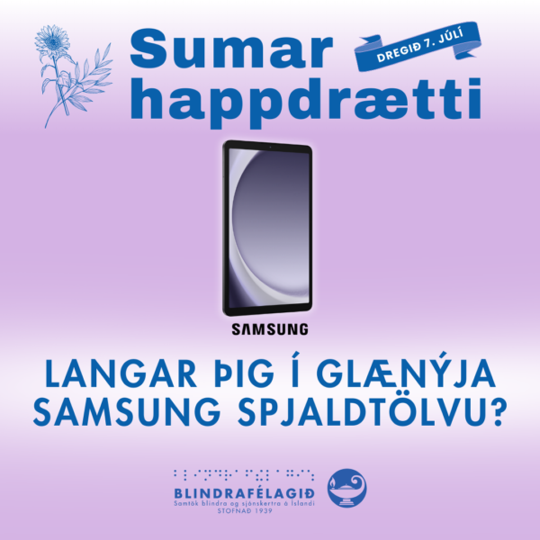 Sumarhappdrætti Blindrafélagsins 2025 - Image 6