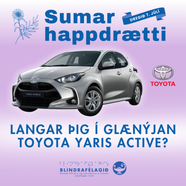 Sumarhappdrætti Blindrafélagsins 2025 - Image 5